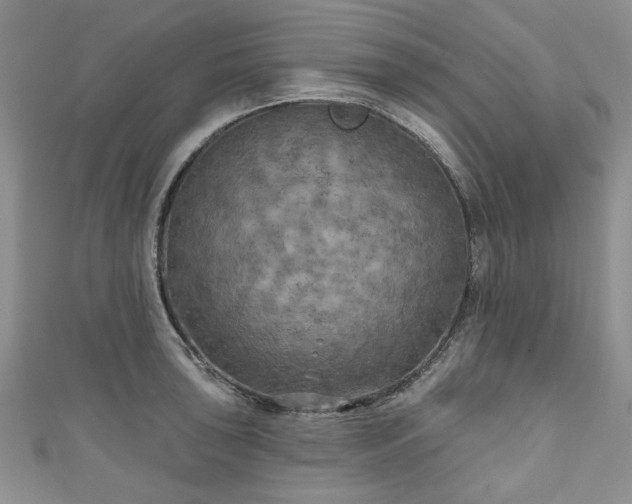 X0000111001043200906261454