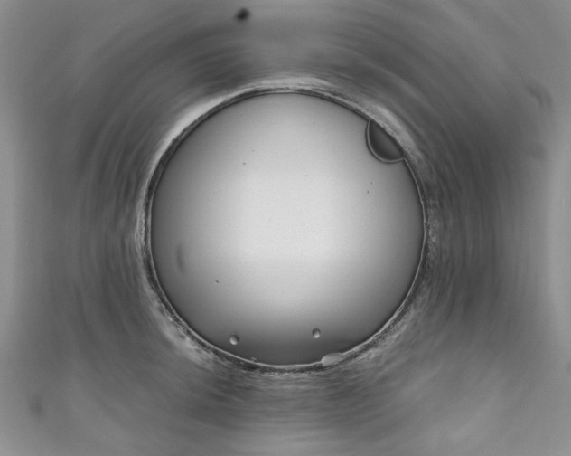 X0000111001044200906261454