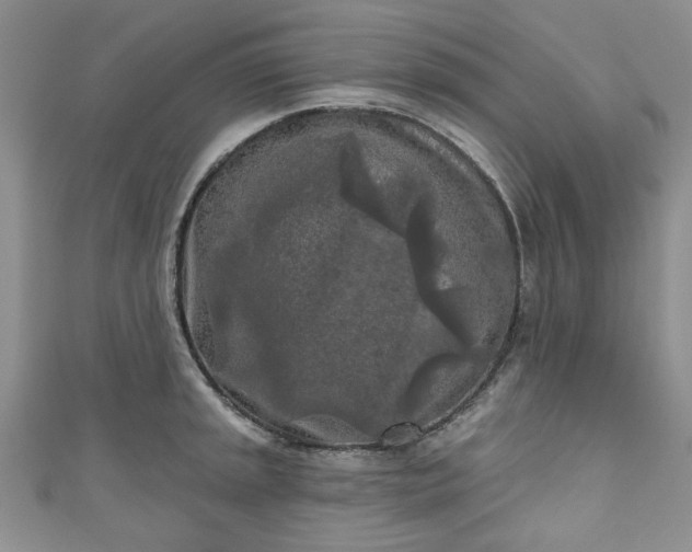 X0000111001045200906261454