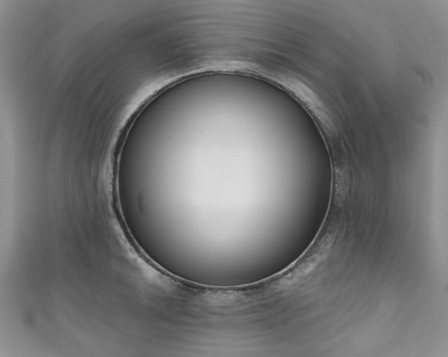 X0000111001046200906261454