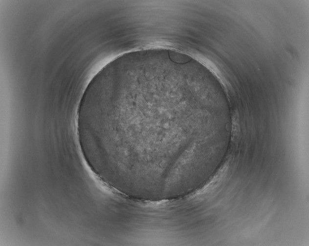 X0000111001047200906261454