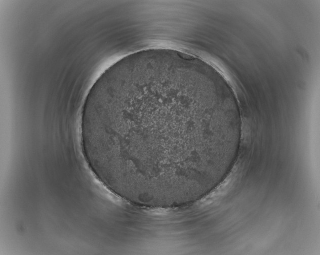 X0000111001048200906261454