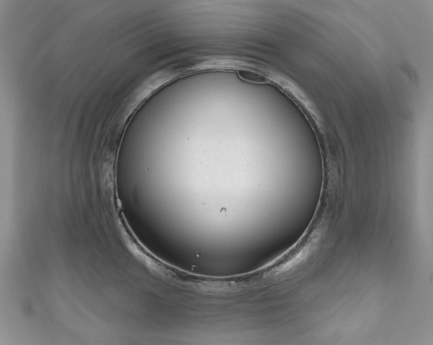 X0000111001049200906261455