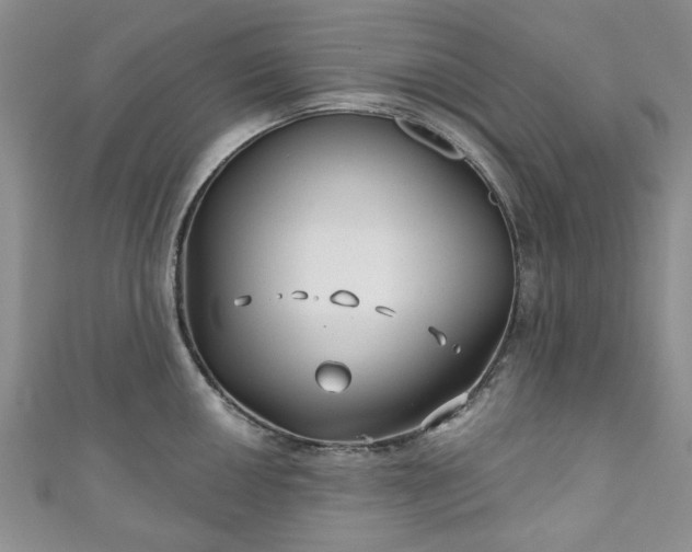 X0000111001050200906261455