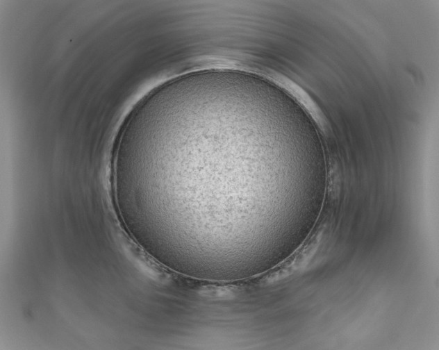 X0000111001051200906261455