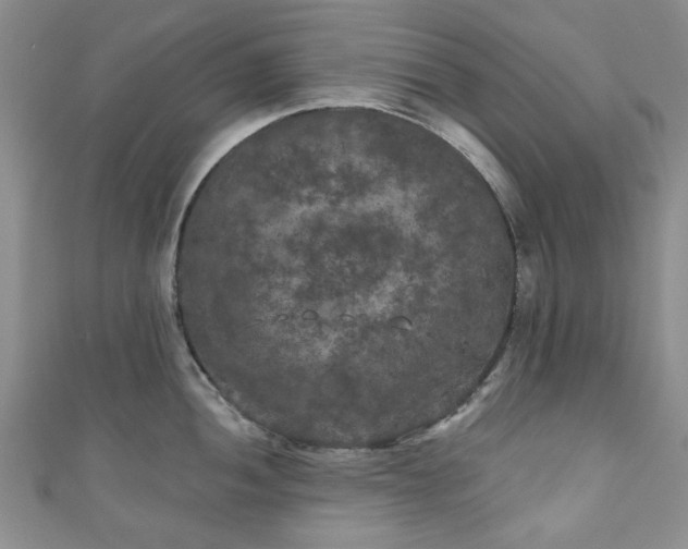 X0000111001052200906261455