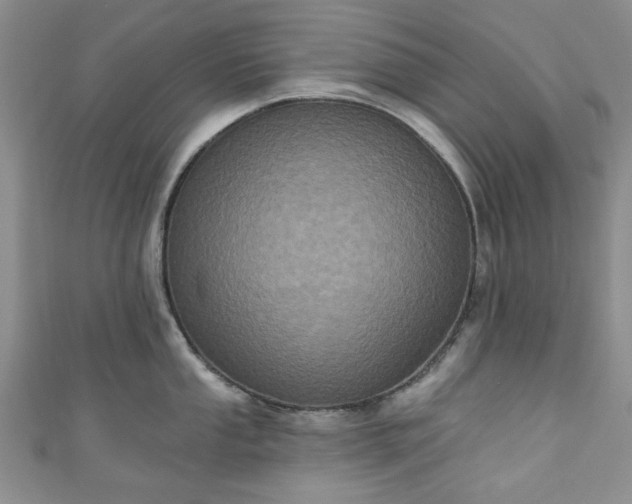 X0000111001053200906261455