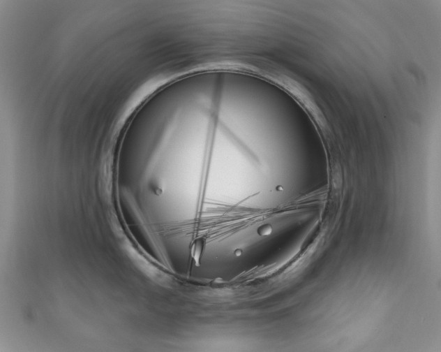 X0000111001054200906261455