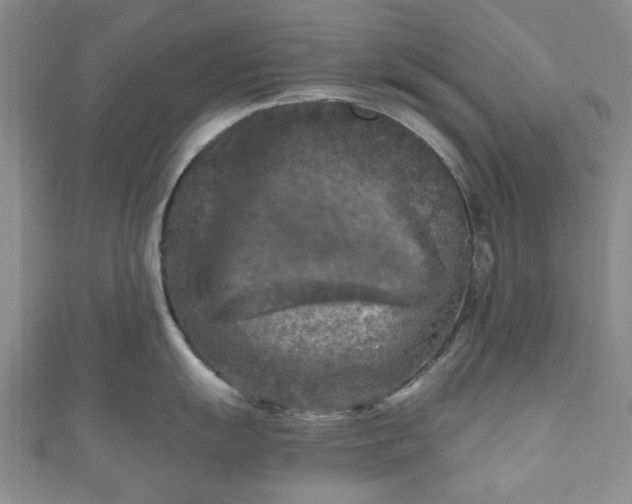 X0000111001055200906261455