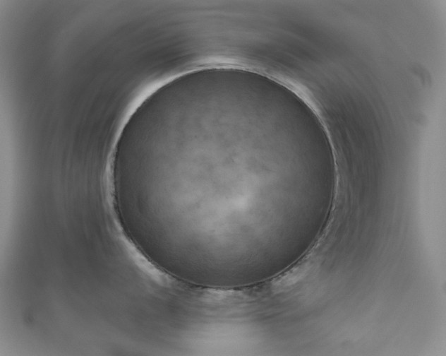 X0000111001056200906261455