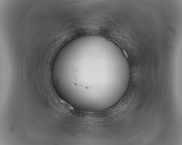 X0000111001057200906261454