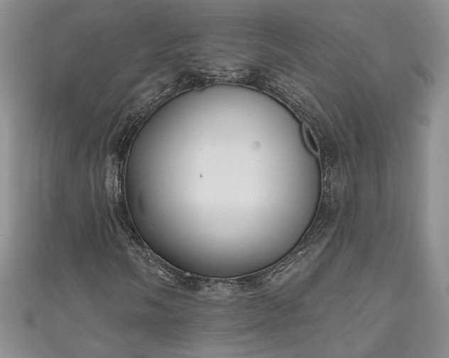 X0000111001058200906261454