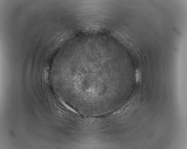 X0000111001059200906261454