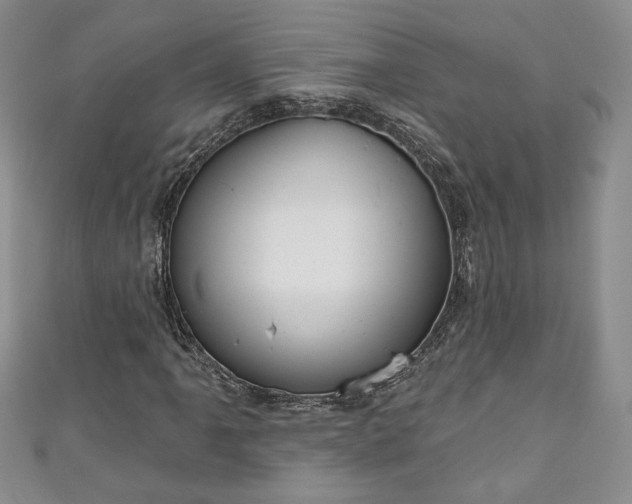 X0000111001061200906261454