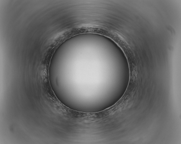 X0000111001062200906261454