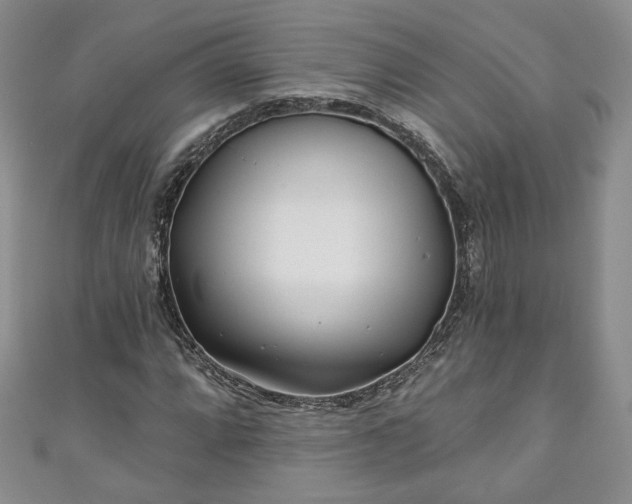 X0000111001064200906261454