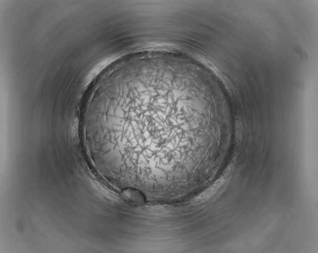 X0000111001066200906261454