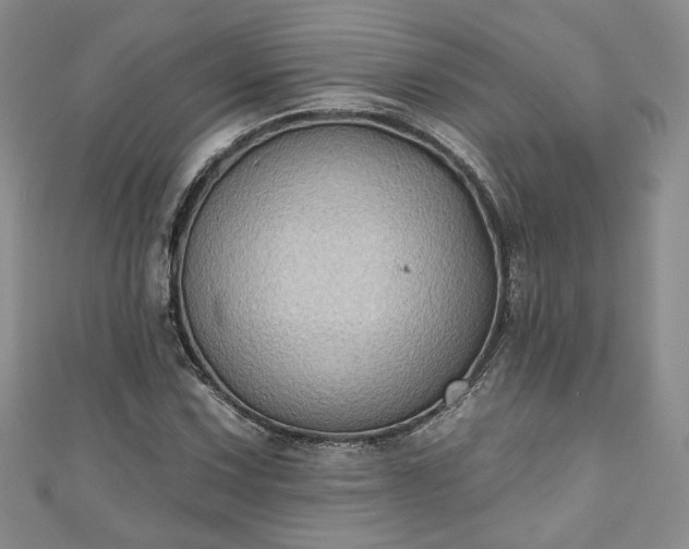 X0000111001067200906261454