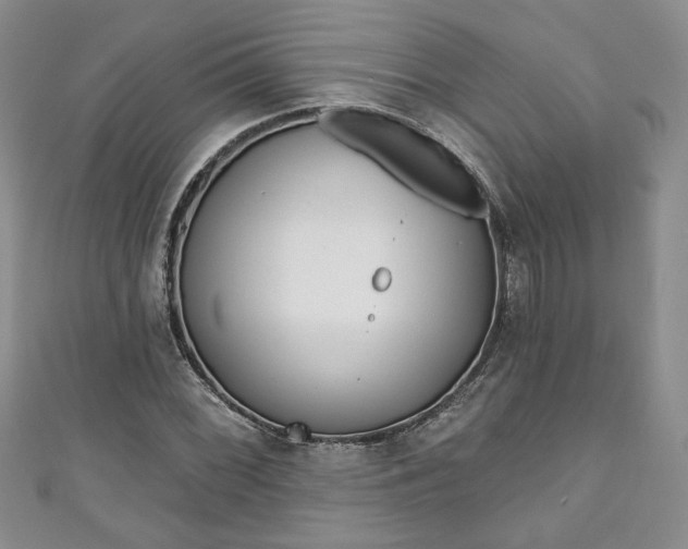 X0000111001068200906261454