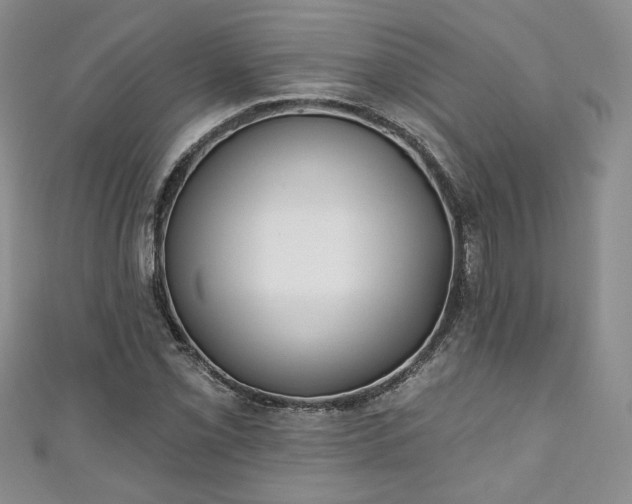 X0000111001069200906261454