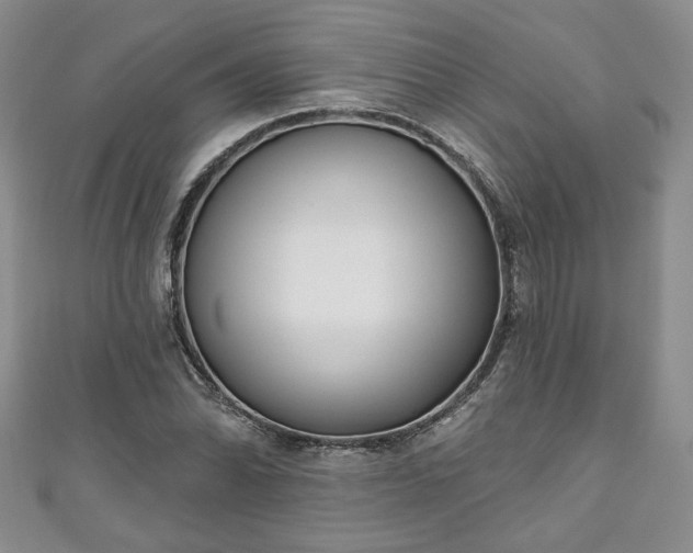 X0000111001070200906261454