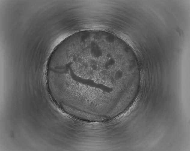 X0000111001071200906261454