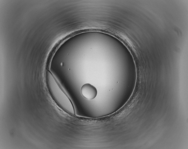 X0000111001072200906261454