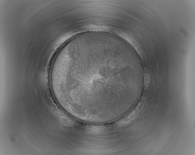 X0000111001074200906261454