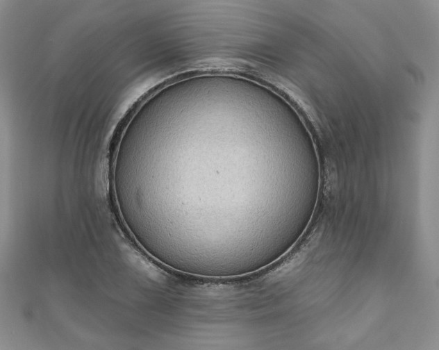 X0000111001075200906261454