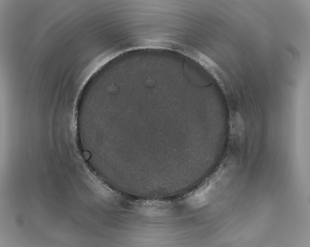 X0000111001077200906261454