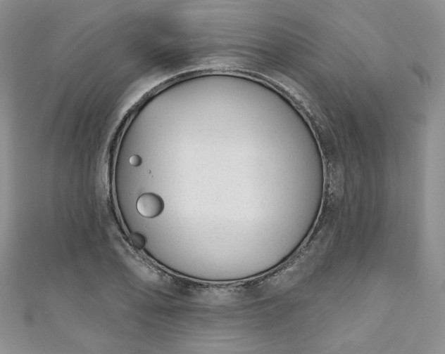 X0000111001078200906261454