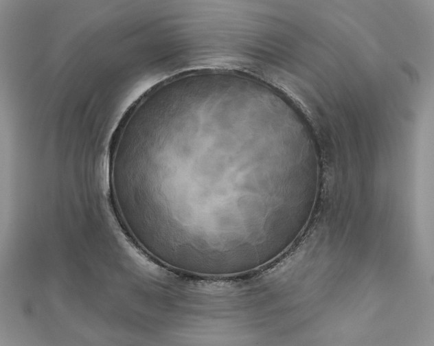 X0000111001079200906261454