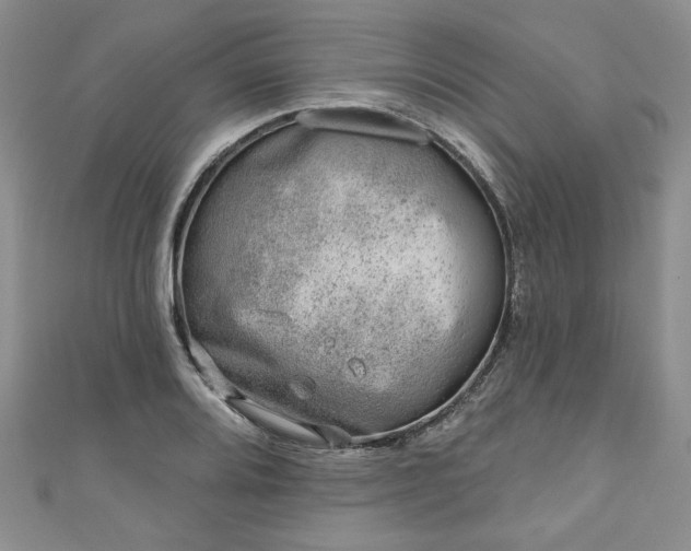 X0000111001080200906261454