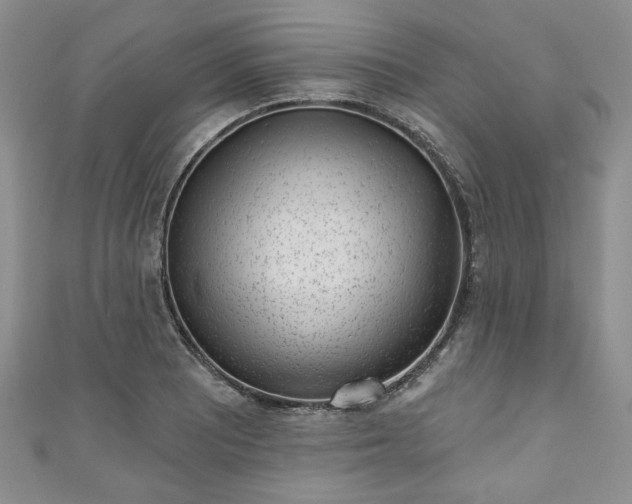 X0000111001081200906261454