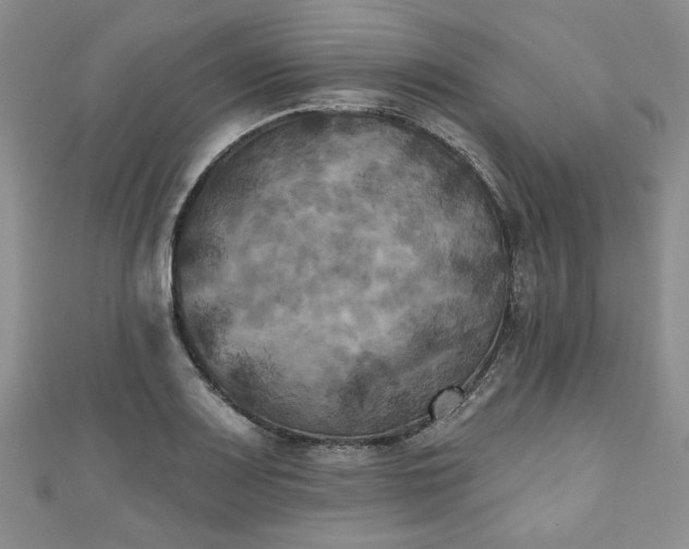 X0000111001083200906261454