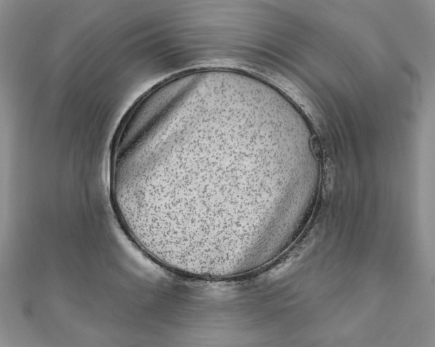 X0000111001084200906261454