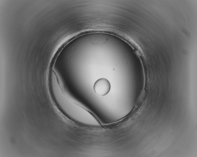 X0000111001085200906261454