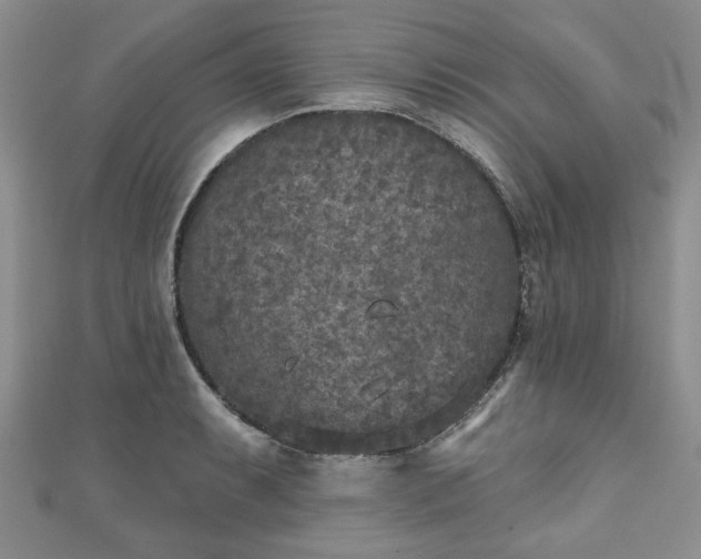 X0000111001087200906261454