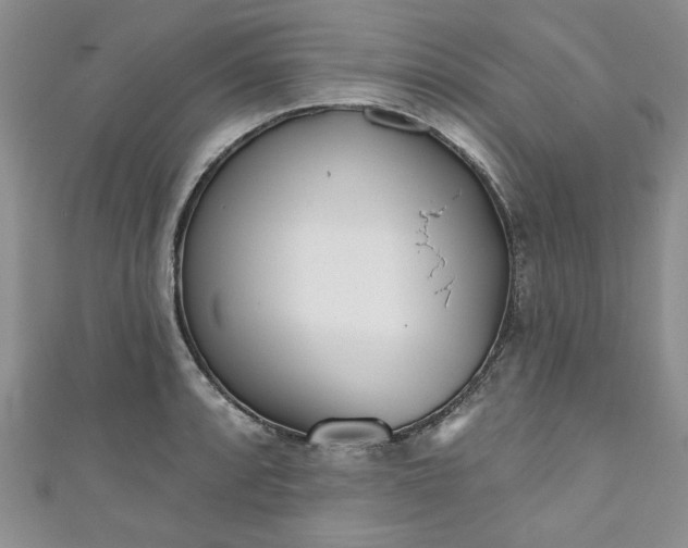 X0000111001088200906261454