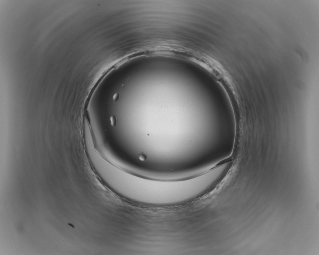 X0000111001089200906261454