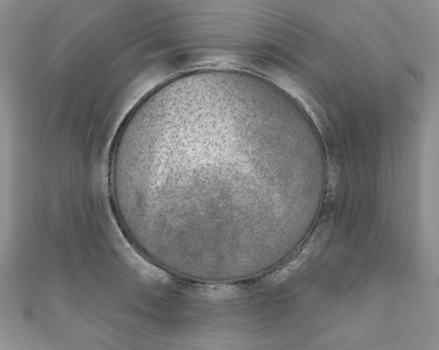 X0000111001090200906261454