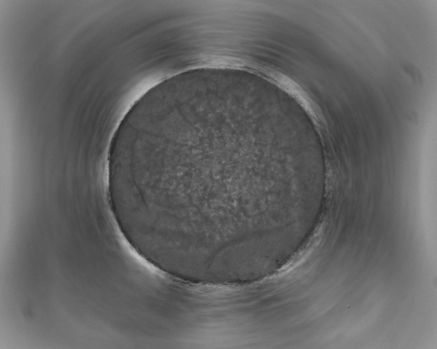 X0000111001095200906261453