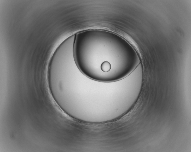 X0000111001096200906261453