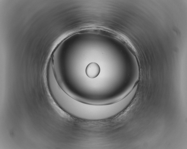 X0000111001098200906261453