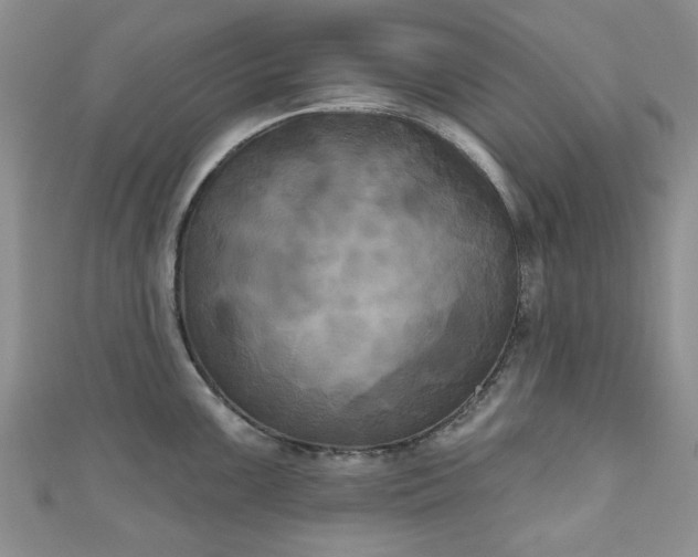 X0000111001099200906261453