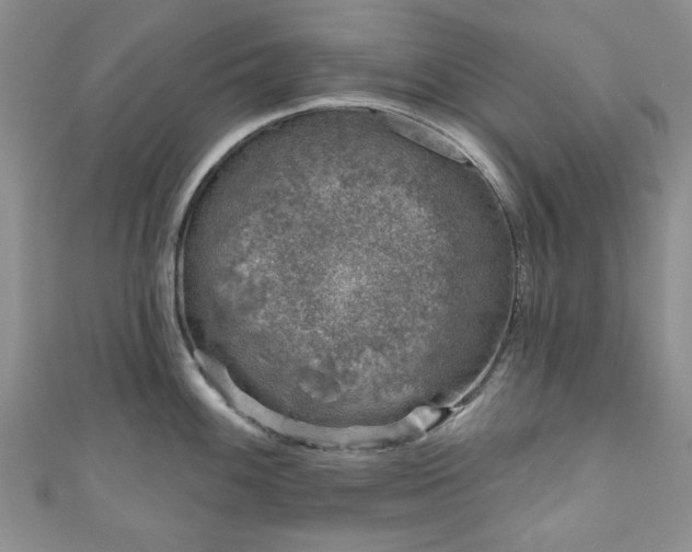 X0000111001100200906261453