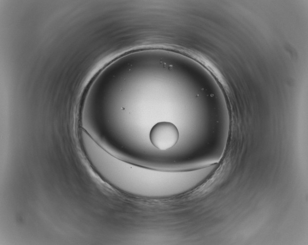 X0000111001101200906261453