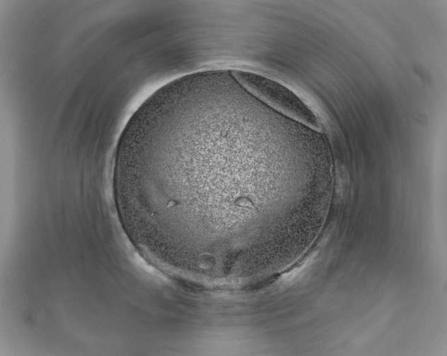 X0000111001102200906261453