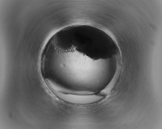 X0000111001104200906261453