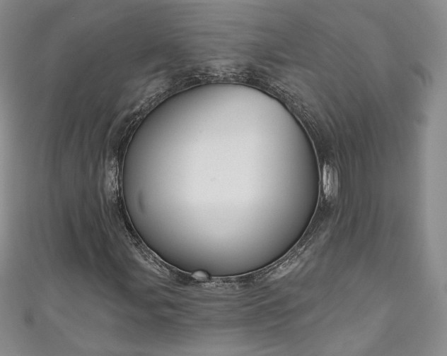 X0000111001107200906261453